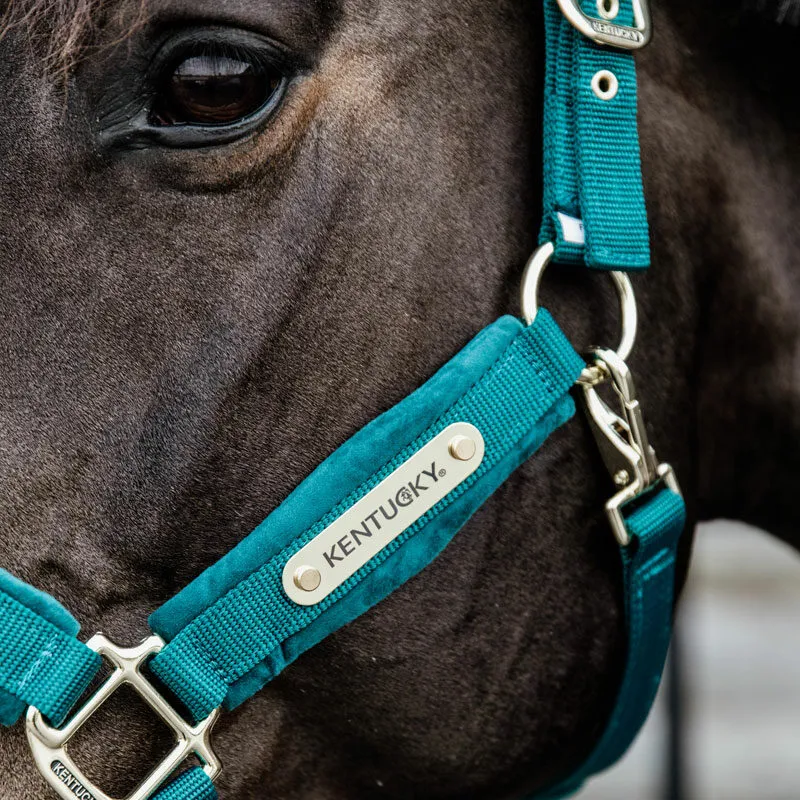 Kentucky Horsewear Velvet Headcollar Emerald-2