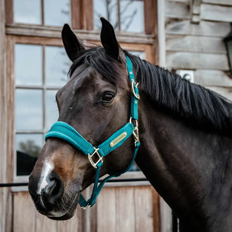 Kentucky Horsewear Velvet Headcollar Emerald-4