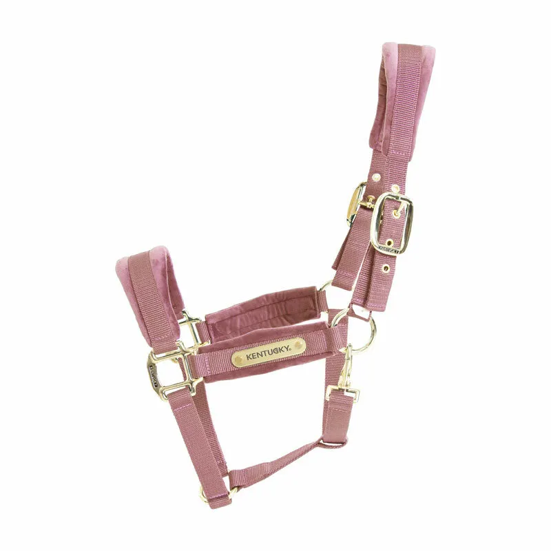 Kentucky Horsewear Velvet Halter Old Rose-1