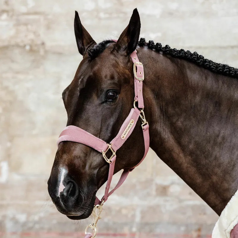 Kentucky Horsewear Velvet Halter Old Rose