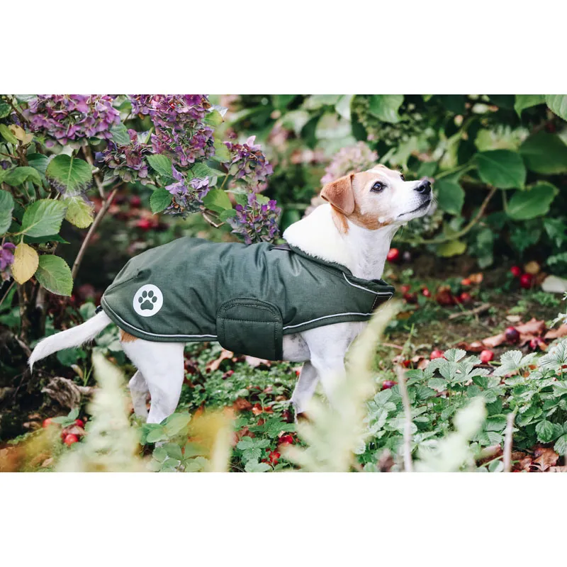 Kentucky Dog Coat Waterproof 300g Olive Green-1