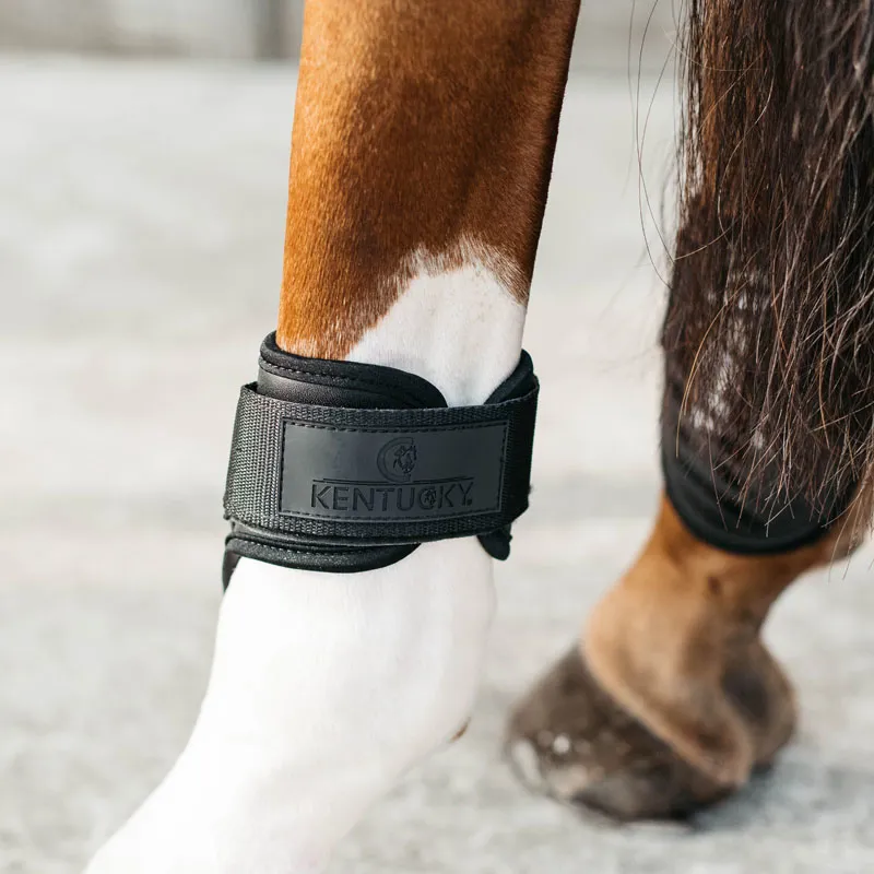 Kentucky Horsewear Young Horse Fetlock Boots Air Black-3
