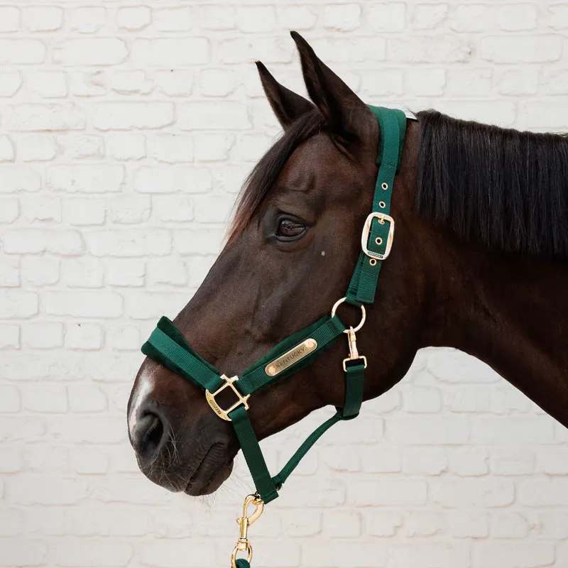 Kentucky Horsewear Velvet Headcollar Pine Green