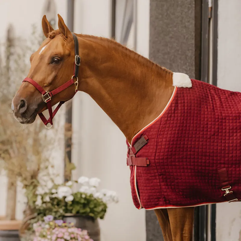 Kentucky Horsewear Cooler Rug PROtherm Bordeaux