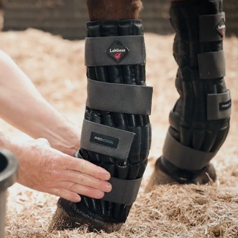 Lemieux procool cold hotsell water boots