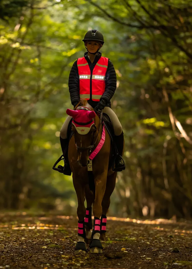 Woof Wear LED Hi Vis Riding Vest - Pink-4