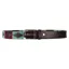 HY Equestrian Synergy Polo Belt Aqua/Fig