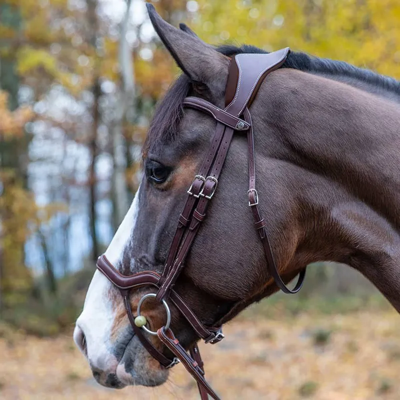 Antares Precision Y Noseband Bridle Brown