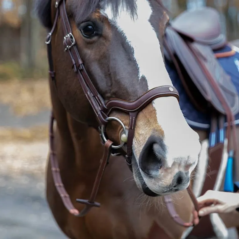 Antares Precision Y Noseband Bridle Brown-1