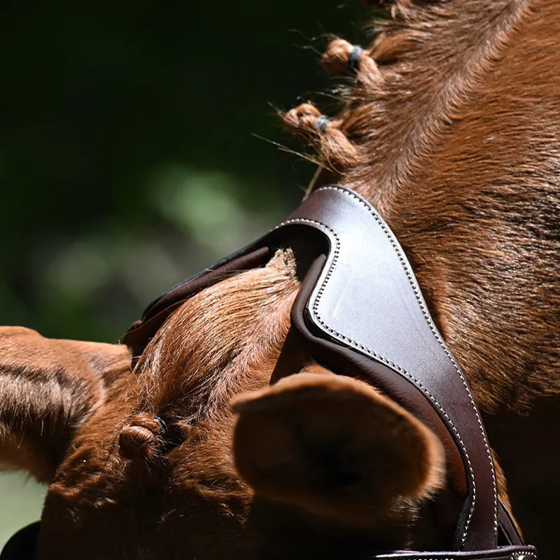 Antares Precision Y Noseband Bridle Brown-2