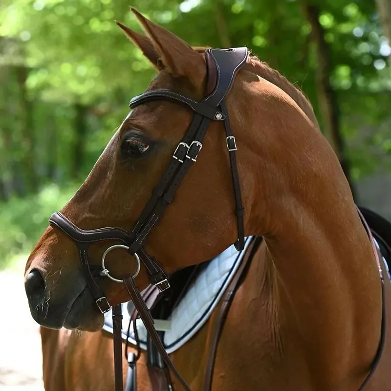 Antares Precision Y Noseband Bridle Brown-3