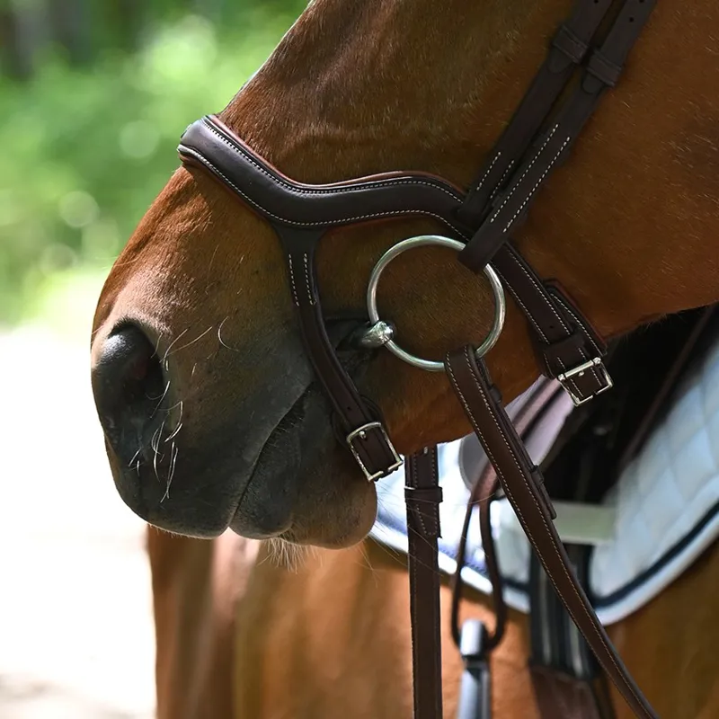 Antares Precision Y Noseband Bridle Brown-4