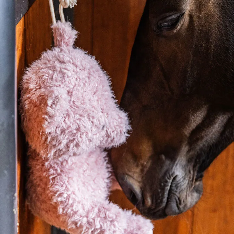 Kentucky Relax Horse Toy Bear - Old Rose-1