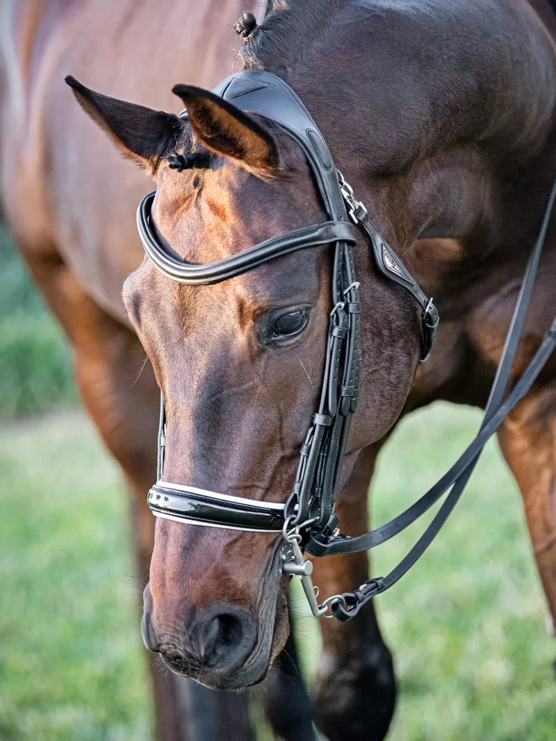 Equiline BJ400 Double Bridle Patent Black-1