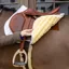 Kentucky Skin Friendly Saddle Pad Sheepskin Diamond Show Jumping - White