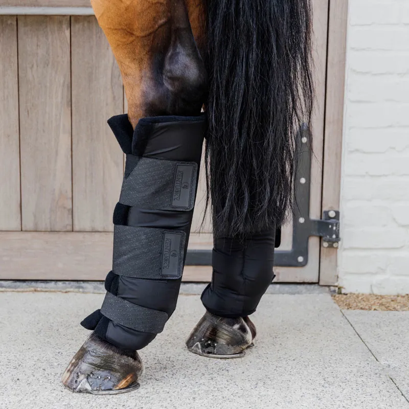 Kentucky Horsewear Stable Boots PROtect Classic Hind
