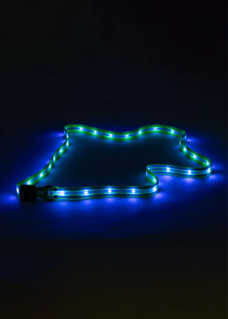 Woof Wear LED Sash-7
