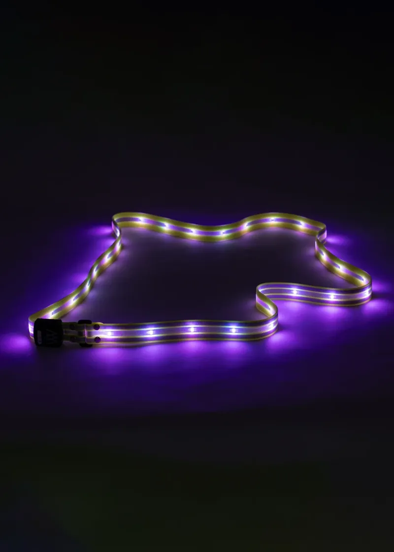 Woof Wear LED Sash-5