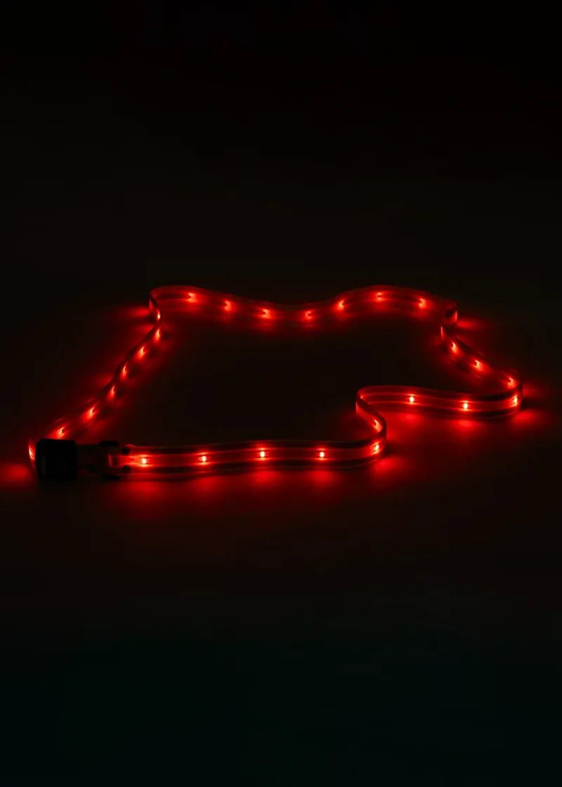 Woof Wear LED Sash-2