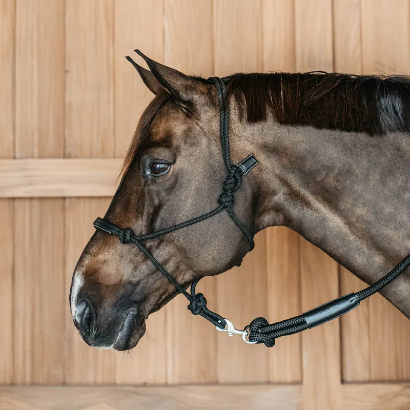 Dy'on Working Collection Training Halter Black