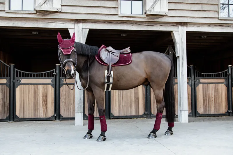 Kentucky Horsewear Velvet Wellington Fly Veil Bordeaux-1
