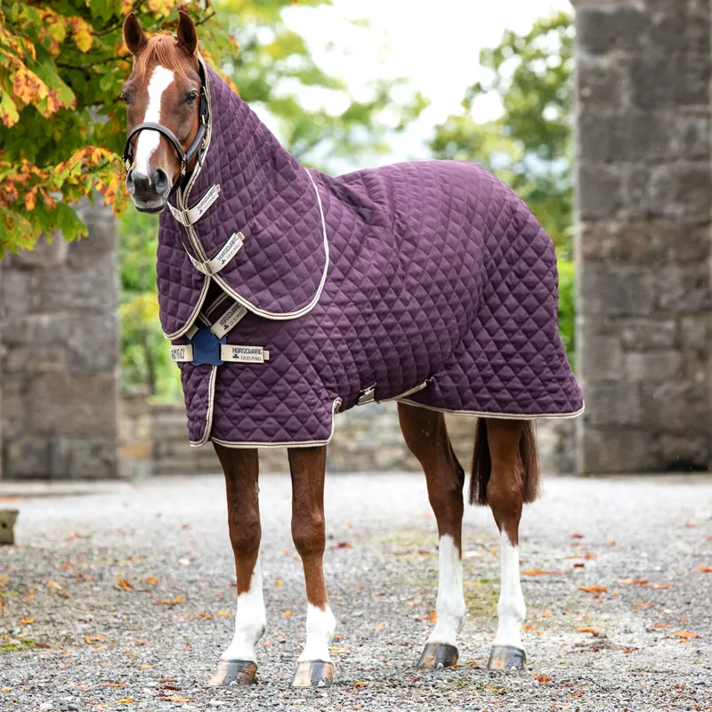 Horseware Amigo Stable Plus Disc Front Medium Fig/Navy/Tan
