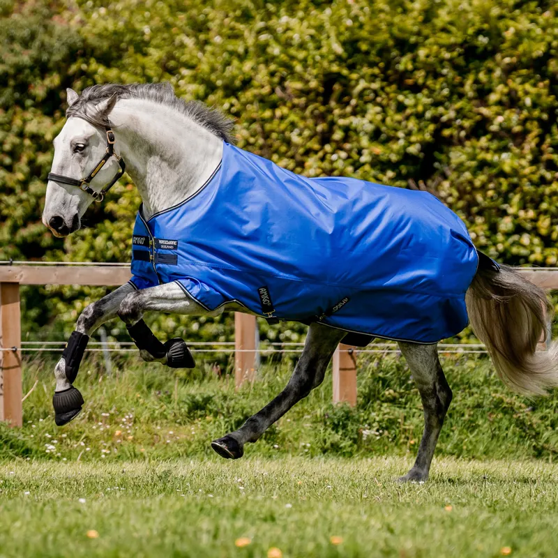 Amigo Hero 600D Ripstop 50g Turnout Rug- Blue/Navy/Grey