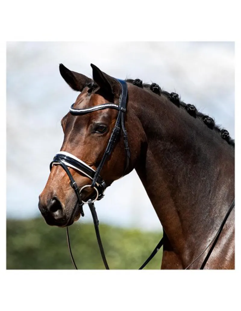 Anky Bridle Anatomical  Patent Blk/White padding  Full Size