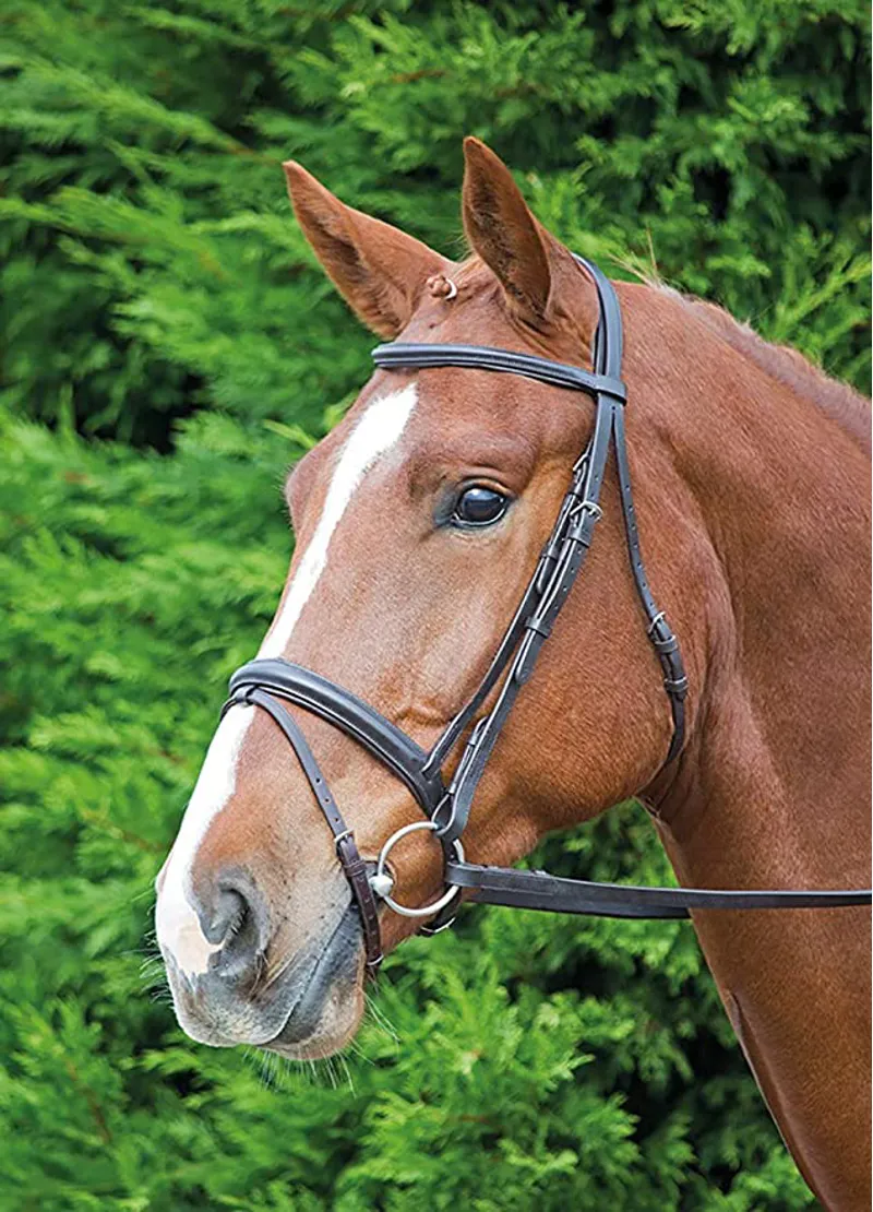 Shires Aviemore Comfort Bridle - Black Small Pony