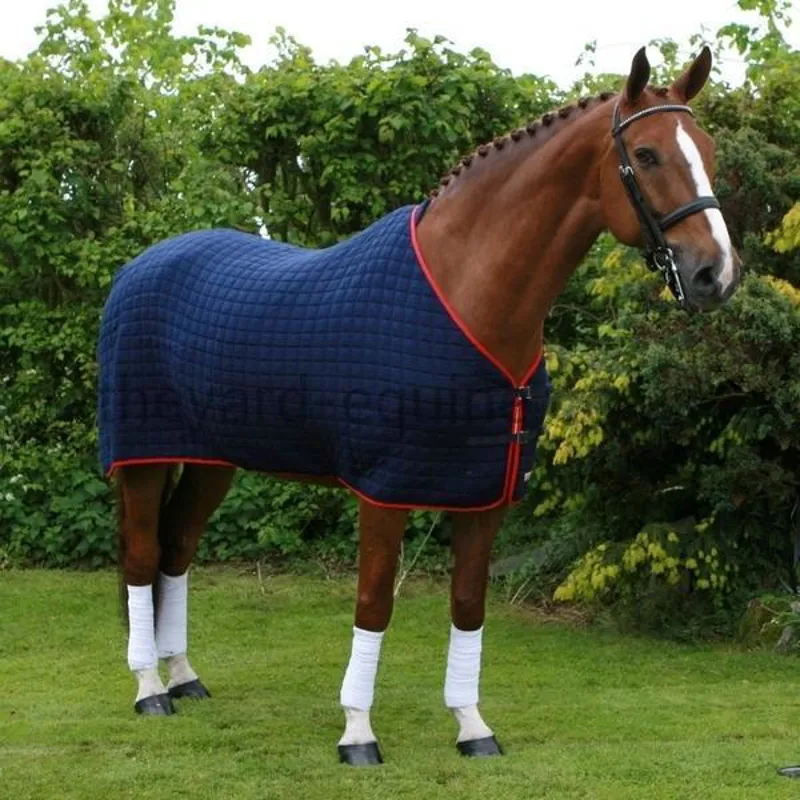 Thermatex Multi Purpose Rug - Black/Grey Binding