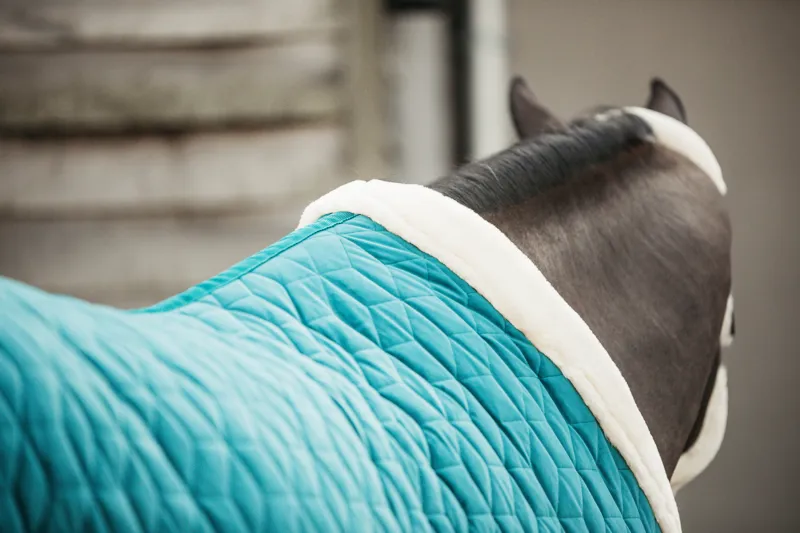 Kentucky Horsewear Show Rug Velvet Emerald-6