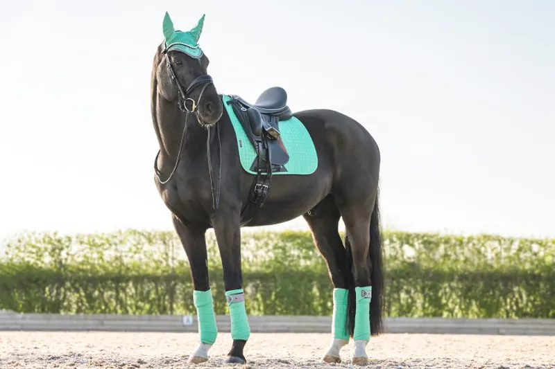 LeMieux Suede Dressage Square Mint