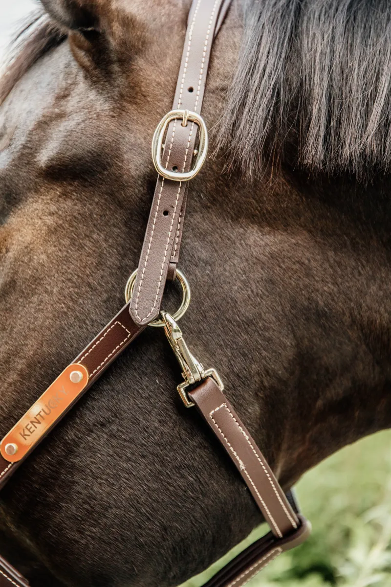 Kentucky Horsewear Leather Halter Flexible Brown-2