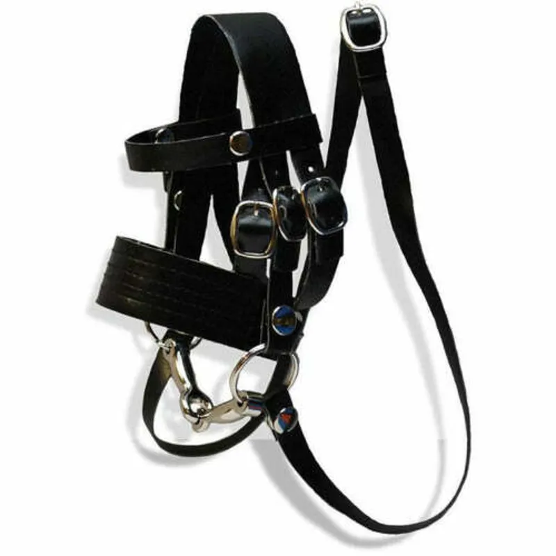 Crafty Pony Synthetic Bridle