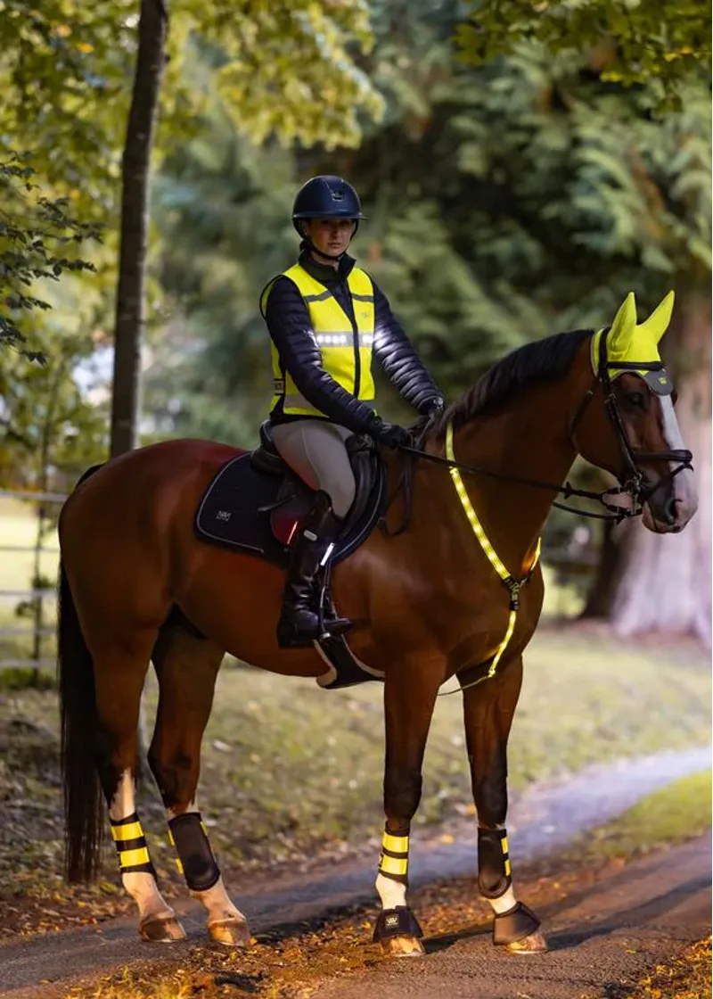 Woof Wear LED Hi Vis Riding Vest - Yellow-5