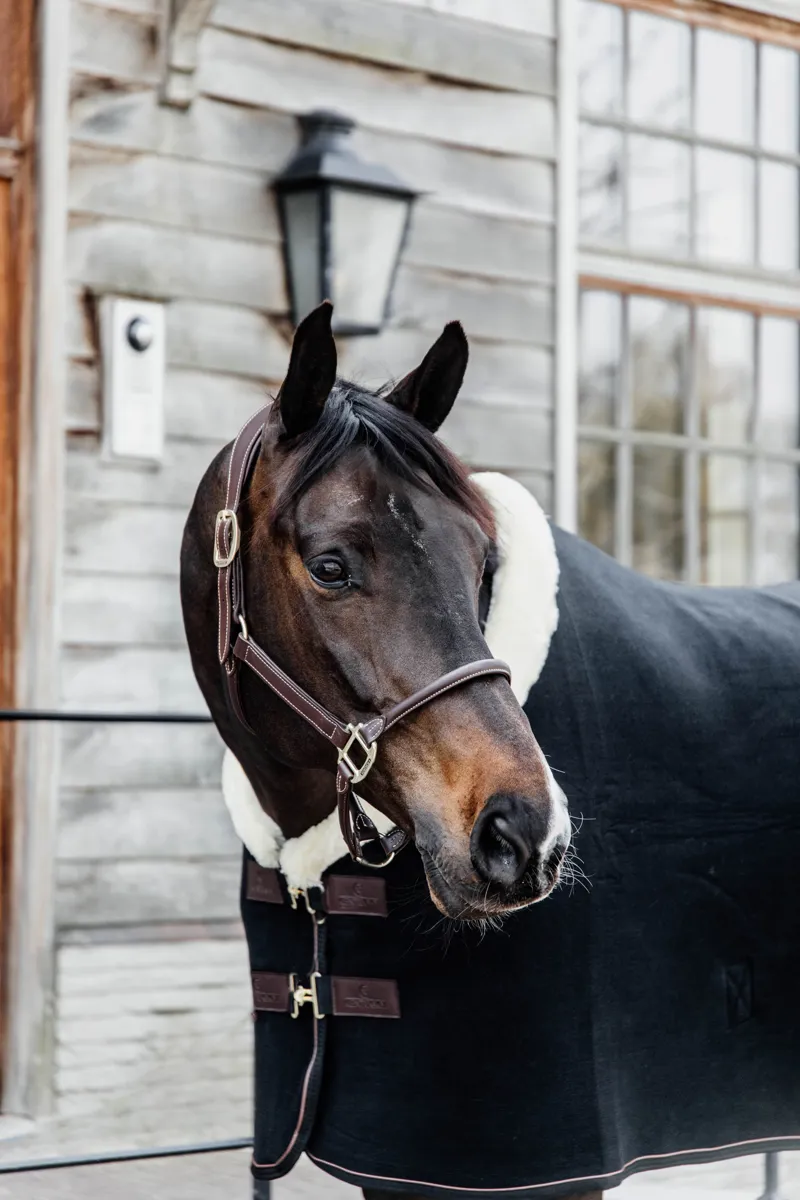 Kentucky Horsewear Fleece Show Rug Heavy Black-4