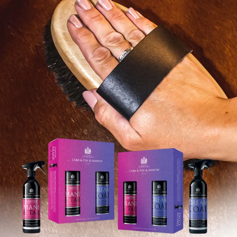 Carr Day and Martin Grooming Duo Pack-1