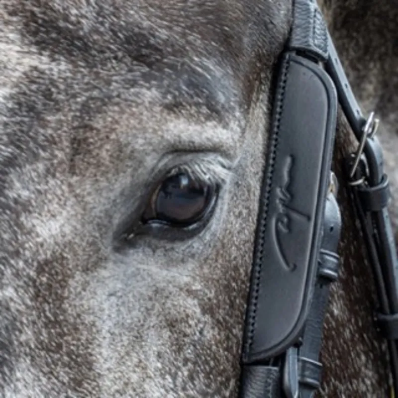 Dy'on Leather Horse Blinkers Black Cob