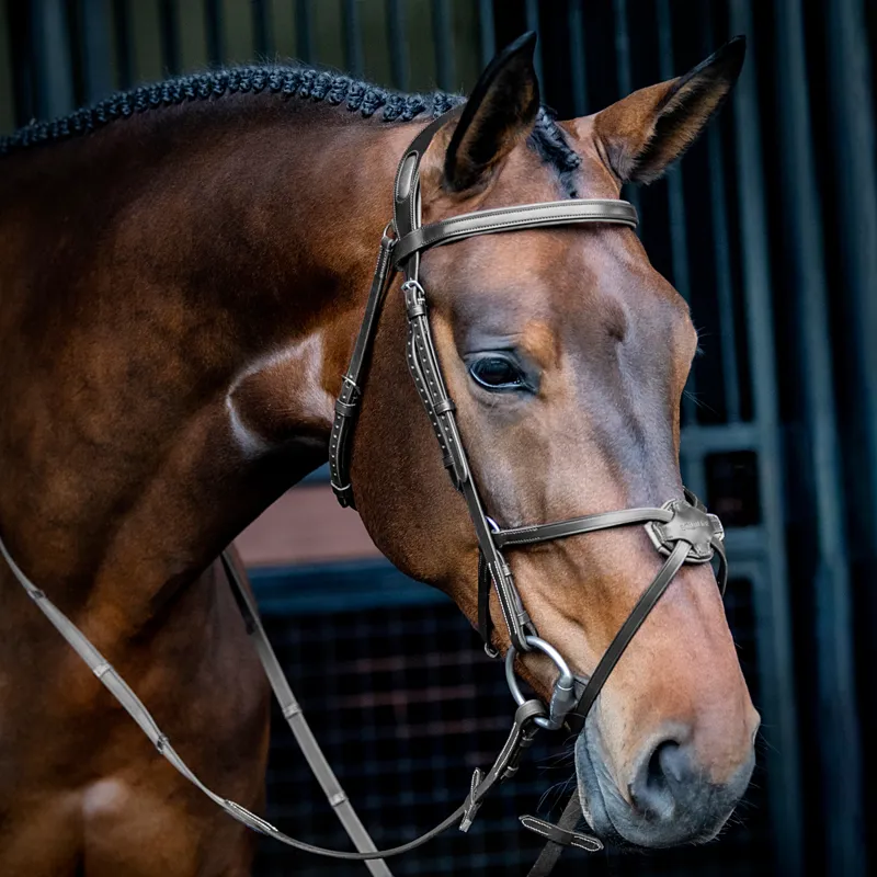 Equiline Anatomical Grackle Bridle Black
