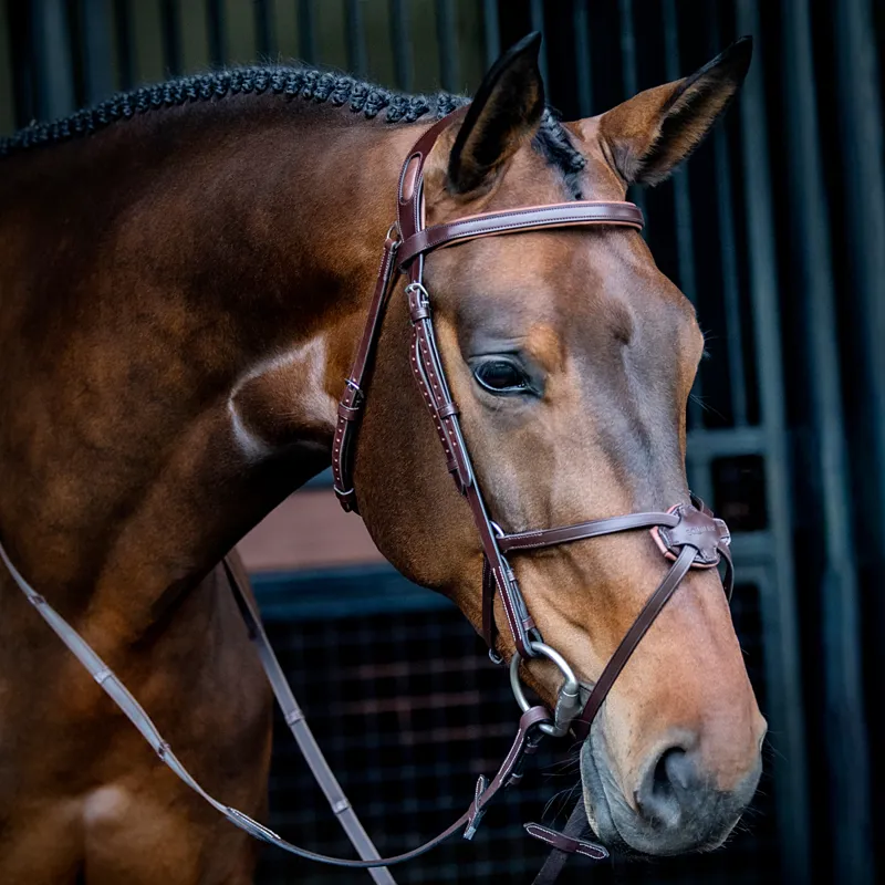 Equiline Anatomical Grackle Bridle Brown