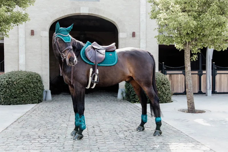 Kentucky Horsewear Young Horse Fetlock Boots Air Emerald-2