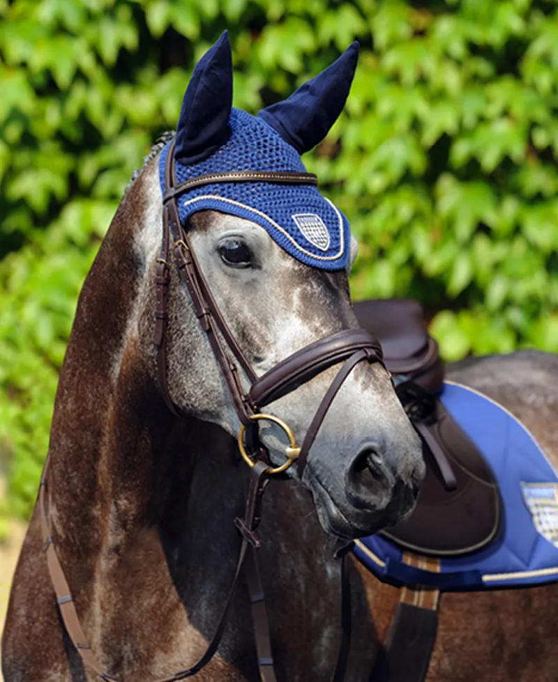 Passier Ingrid Klimke Snaffle Bridle