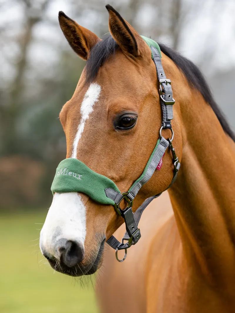 LeMieux Vogue Headcollar and Leadrope Hunter Green-1