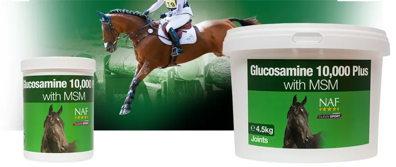 NAF Glucosamine 10.000 Plus 900g