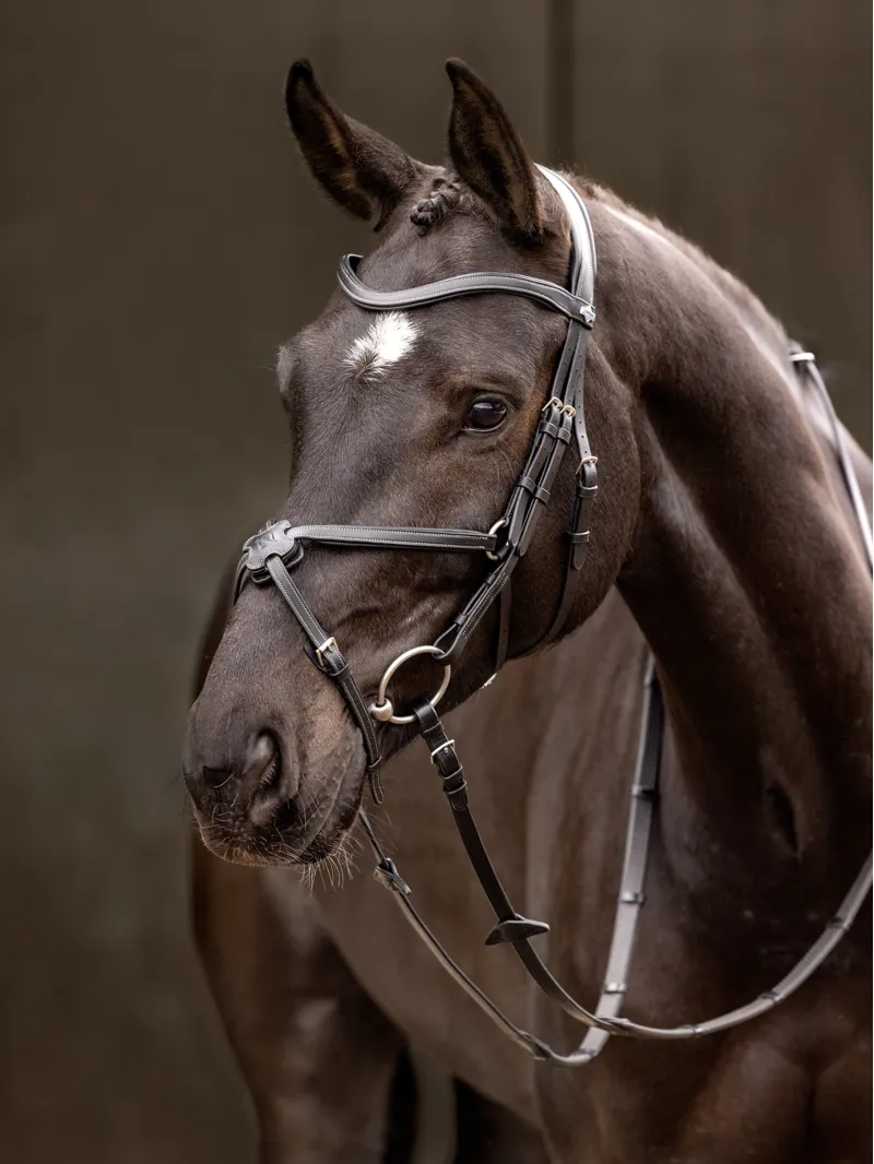 LeMieux Arika Grackle Bridle Black/Silver-3