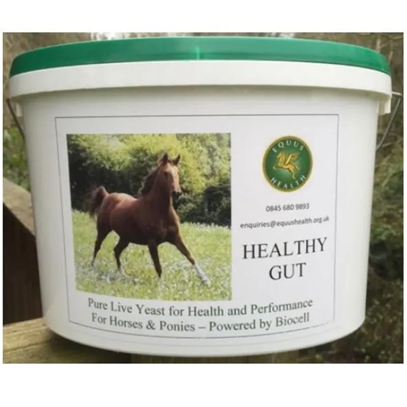 Equus Health Healthy Gut  2.5kg