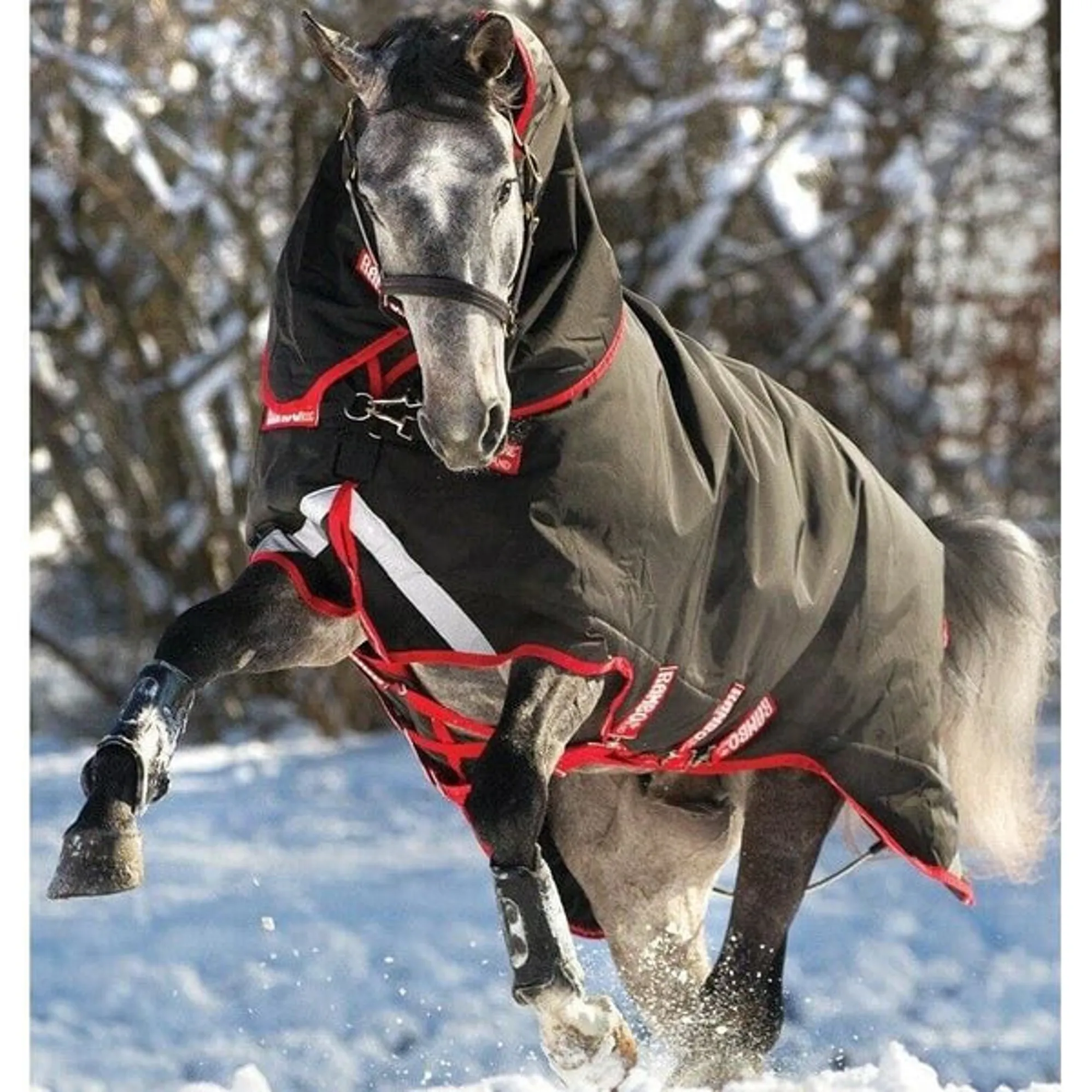 Horseware Ireland Rambo Stable Plus Vari-Layer Heavy 450g - Navy / 6'3 from £214.95 - Compare 1 Offer (March 2026 Horseware Ireland Rambo Stable Plus Vari-Layer Heavy 450g - Navy / 6'3 from £214.95 - Compare 1 Offer (March 2026