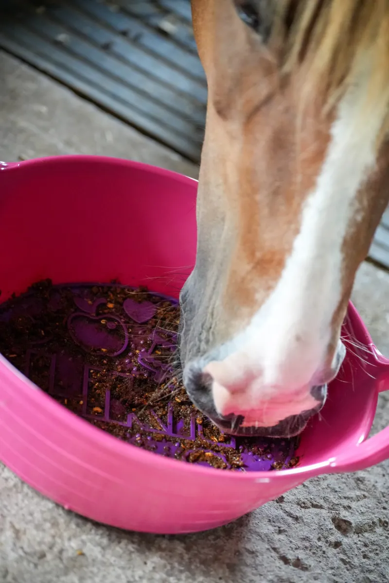 Likit Graze Maze Feeding Mat - Purple-2