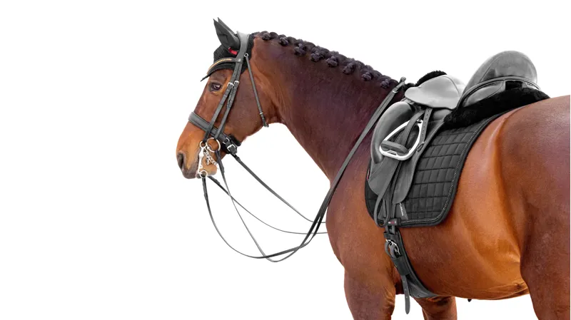 LeMieux Diamante Dressage Square Black-1