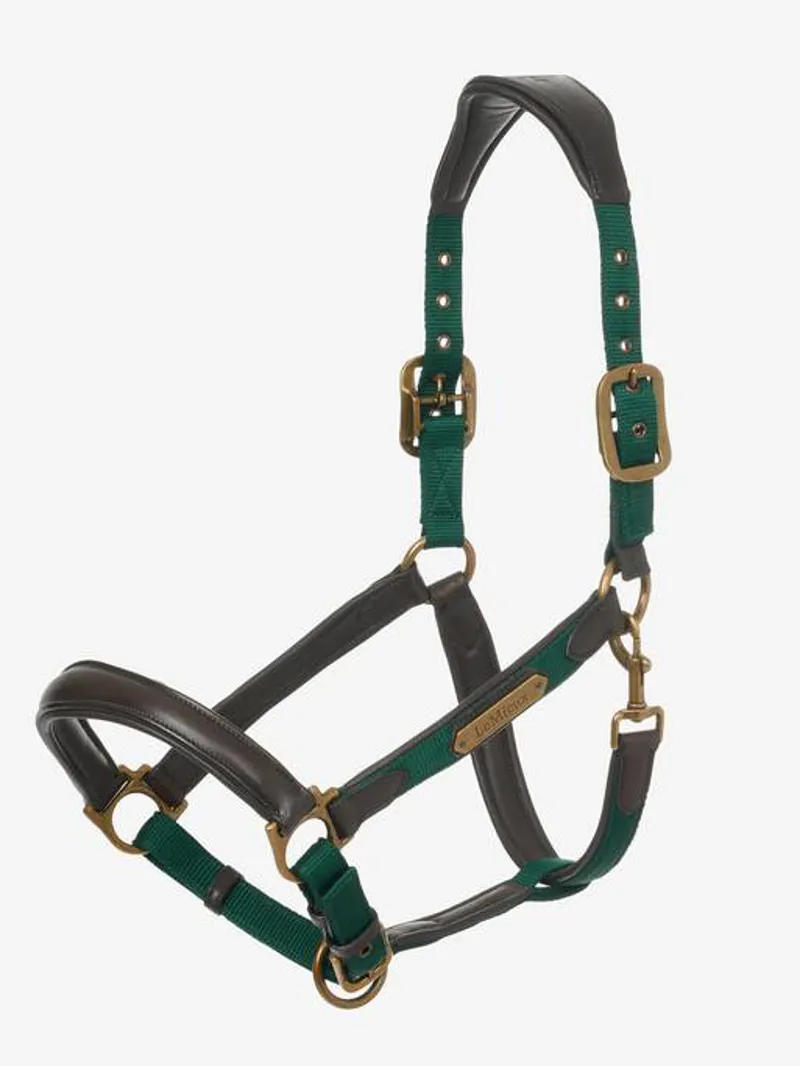 LeMieux Capella Headcollar Spruce